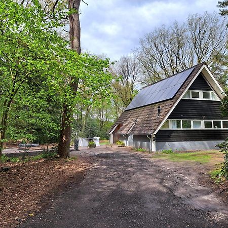 Natuurhuisje Meppen Екстер'єр фото
