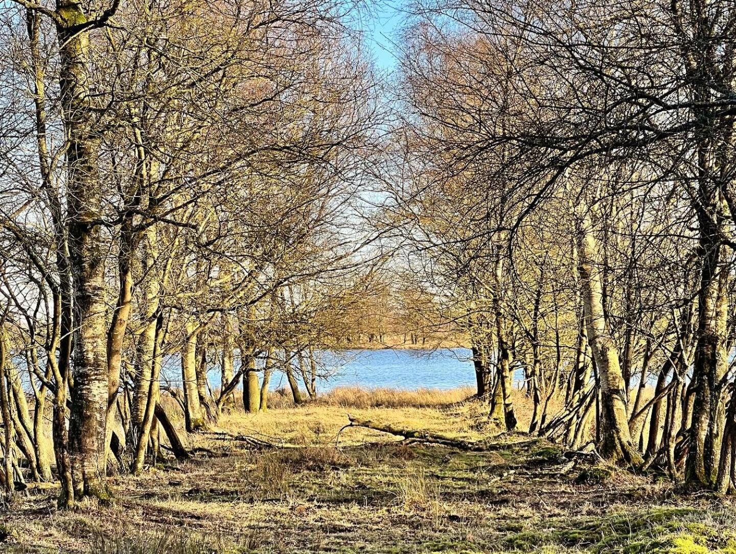 Natuurhuisje Meppen Екстер'єр фото