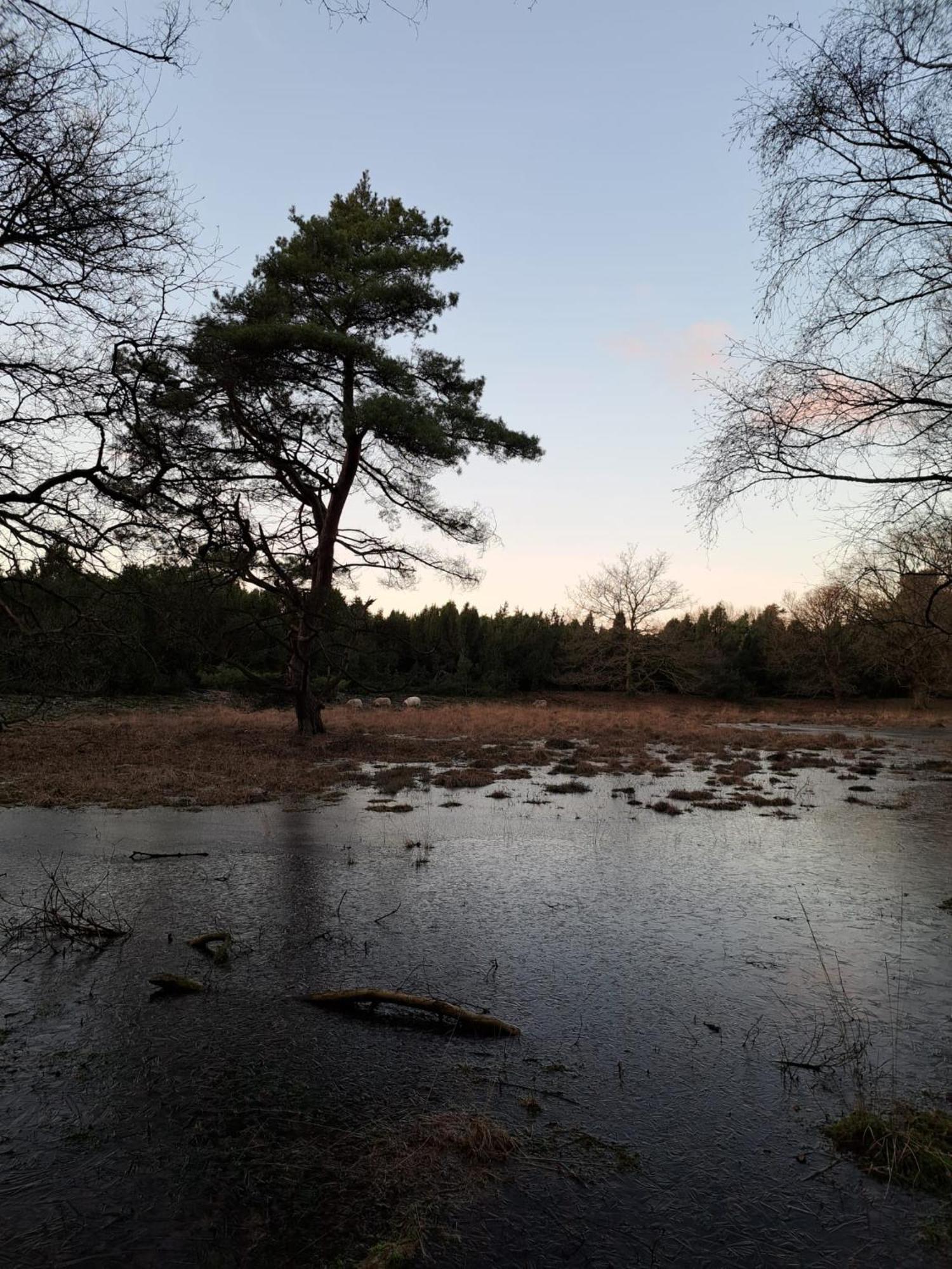 Natuurhuisje Meppen Екстер'єр фото