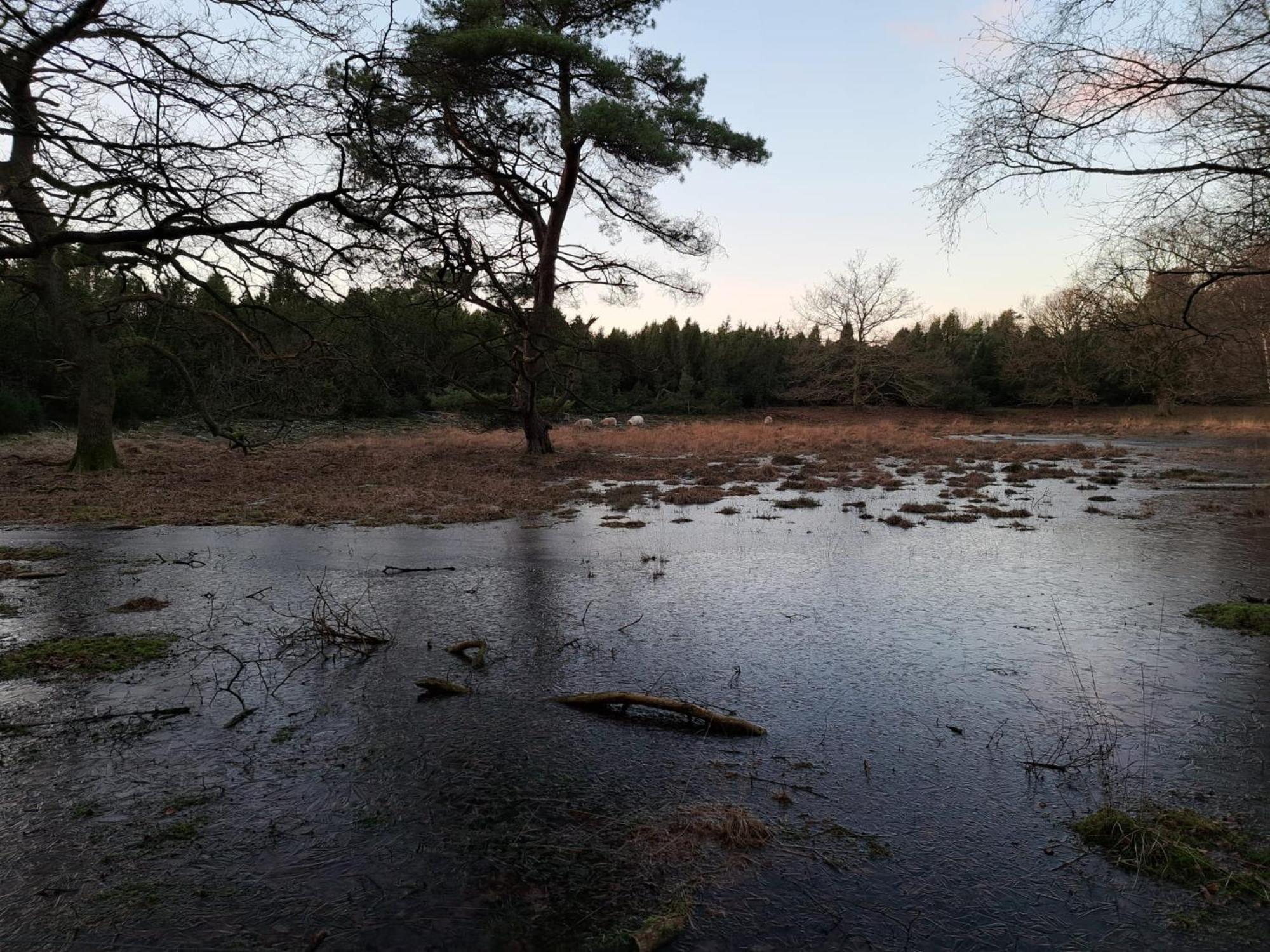 Natuurhuisje Meppen Екстер'єр фото