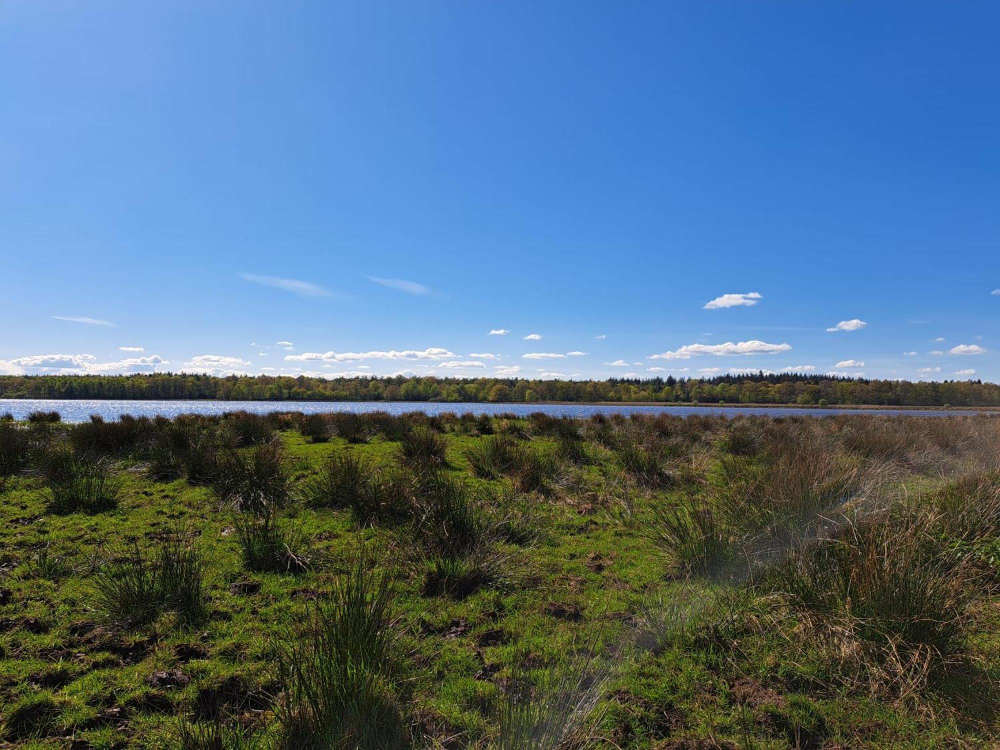 Natuurhuisje Meppen Екстер'єр фото