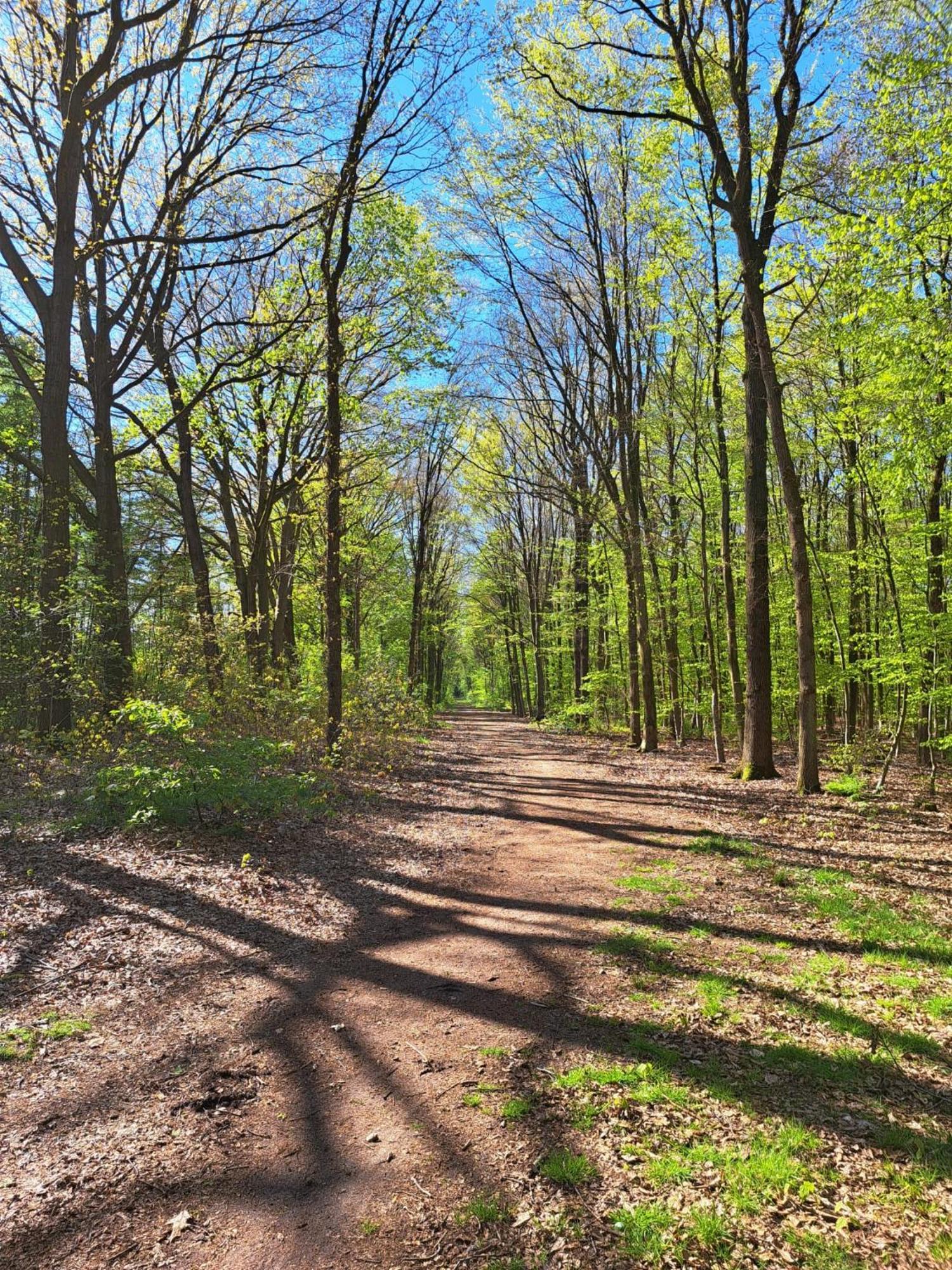 Natuurhuisje Meppen Екстер'єр фото